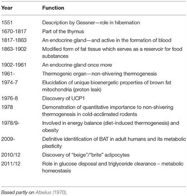 Brown Adipose Tissue—A Therapeutic Target in Obesity?